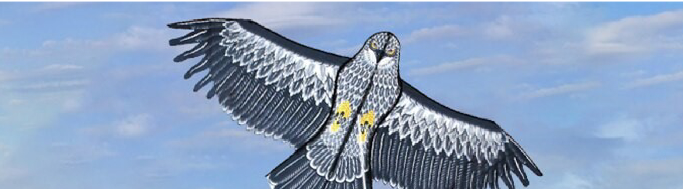 Cometa Espanta Palomas Altamente Efectiva – La Mejor Solución Visual para Ahuyentar Aves en Lima